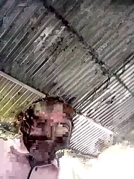 sharpei online show from 19, 2, 2026