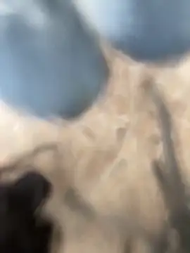 Adele Pinkk online show from 2, 10, 2025