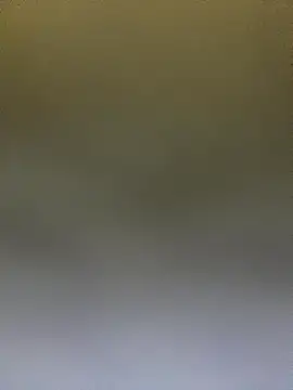 Adele Pinkk online show from 14, 10, 2025