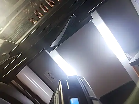 Snapshot of Necroforo chatting on 19, 3, 2026 Necroforo online show from 19, 3, 2026