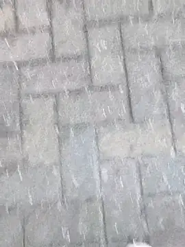 Snapshot of boxerundsocken91 chatting on 9, 3, 2026 boxerundsocken91 online show from 9, 3, 2026