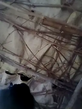 Sapna cutt online show from 14, 10, 2025