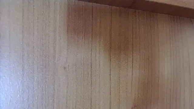 Pamela-StripX online show from 14, 12, 2025