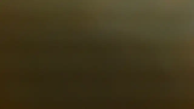 criss zuri online show from 2, 12, 2025