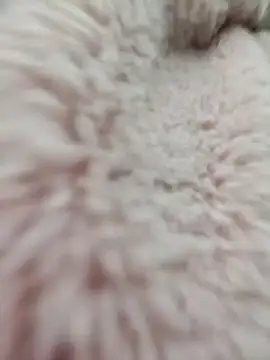 Tin tanny online show from 15, 1, 2026