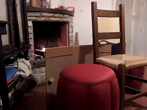 cpvento online show from 9, 10, 2025