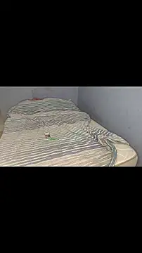 badlove42 online show from 28, 11, 2025