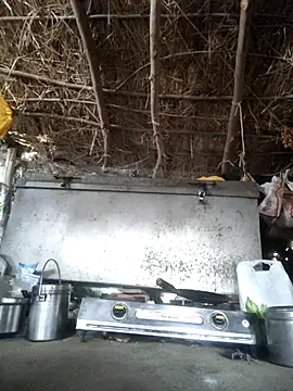 LUCKY cut online show from 7, 11, 2025