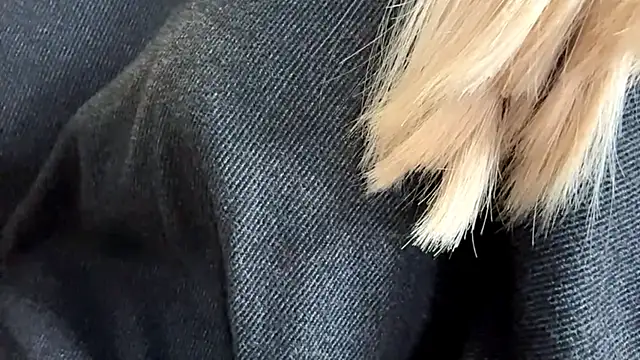 Sweet horizon online show from 19, 9, 2025