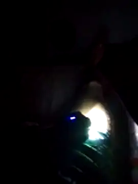 D22Ad online show from 20, 12, 2025