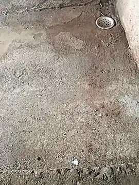 Rahul Razz online show from 6, 10, 2025