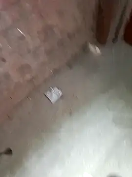 Rahul Razz online show from 23, 10, 2025