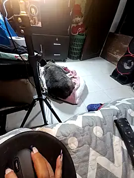 anythompsom online show from 10, 11, 2025