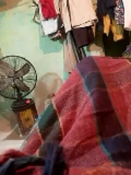 CUTE-004 online show from 11, 1, 2026