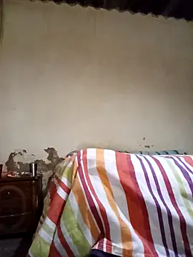 Snapshot of average_price chatting on 12, 11, 2025 average price online show from 12, 11, 2025