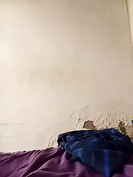 Snapshot of average_price chatting on 3, 12, 2025 average price online show from 3, 12, 2025