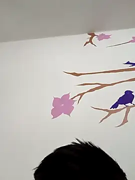 DavidVergagigante420 online show from 17, 12, 2025