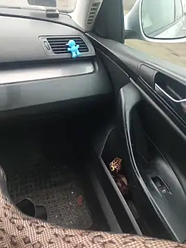 Snapshot of MiriandZacki chatting on 21, 12, 2025 MiriandZacki online show from 21, 12, 2025