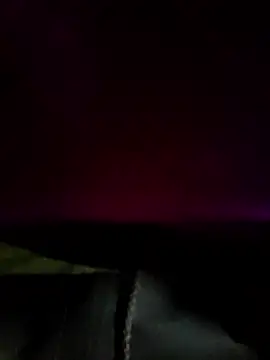 DanteWinter online show from 7, 1, 2026