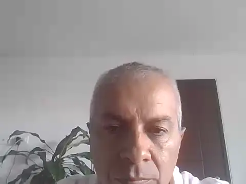 Snapshot of ALFRERM chatting on 12, 10, 2025 ALFRERM online show from 12, 10, 2025