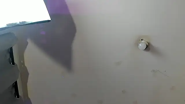 Snapshot of Ambeer_fox_ chatting on 23, 2, 2026 Ambeer fox online show from 23, 2, 2026