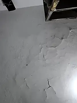 Ferxxxo1503 online show from 6, 2, 2026