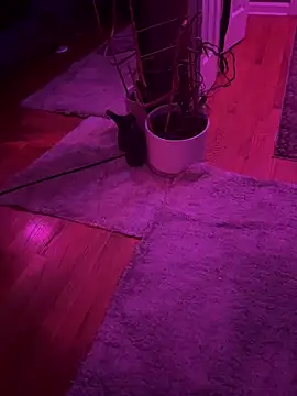 twunkwitadunk online show from 22, 11, 2025