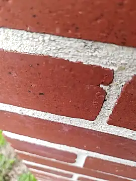 mecchauddu14 online show from 27, 3, 2026