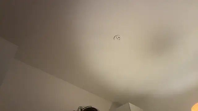 Snapshot of Swedishfish69 chatting on 8, 2, 2026 Swedishfish69 online show from 8, 2, 2026