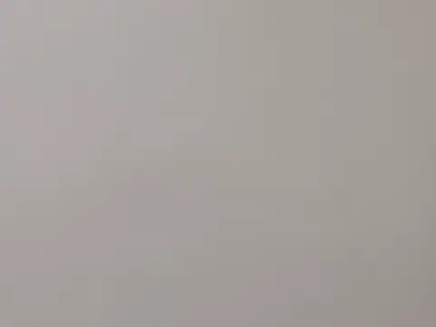 ZoroArcher online show from 12, 9, 2025