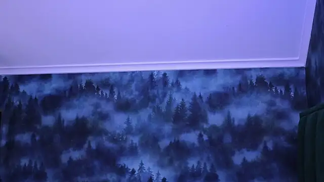 MarkShot  online show from 22, 11, 2025