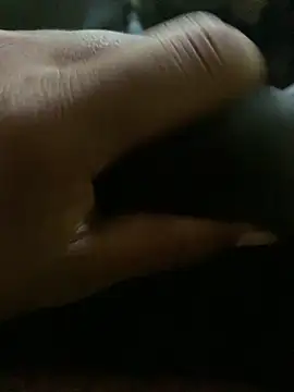 tharu-45 online show from 17, 4, 2026