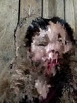 bonnie-00 online show from 15, 11, 2025