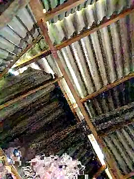 lyuyenkk online show from 3, 11, 2025