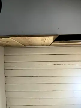 SienaWild online show from 1, 12, 2025