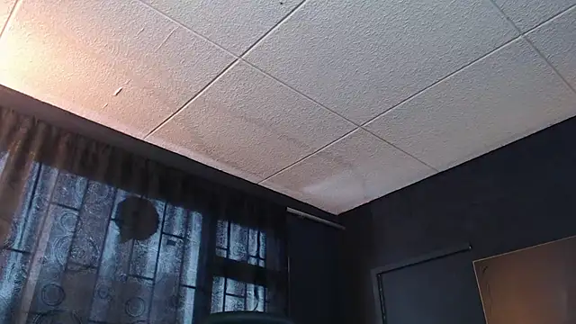 Snapshot of RichardMilleer chatting on 31, 10, 2025 RichardMilleer online show from 31, 10, 2025