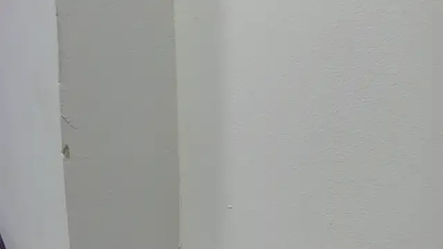 abbiecollins js online show from 28, 3, 2026