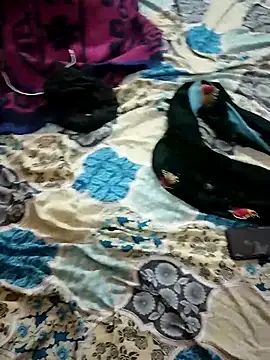 monarani5986 online show from 20, 11, 2025