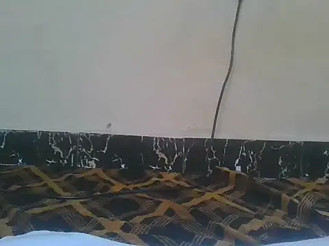 Snapshot of Naughty_queen20 chatting on 13, 4, 2026 Naughty queen20 online show from 13, 4, 2026