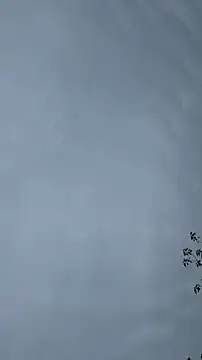 Snapshot of lulu5211 chatting on 26, 10, 2025 lulu5211 online show from 26, 10, 2025