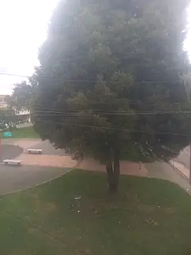 Girl luna  online show from 3, 10, 2025