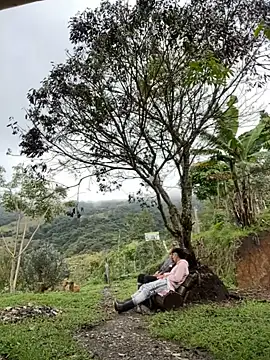 sky-wolves online show from 18, 10, 2025