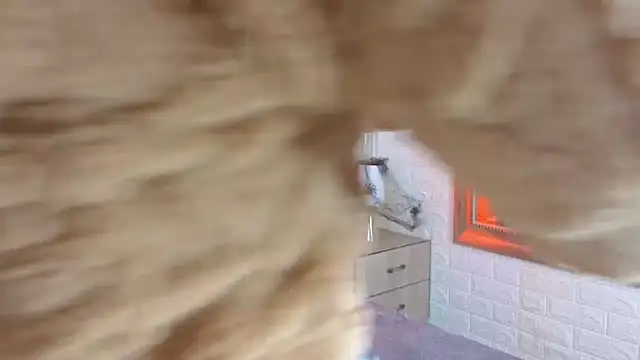 Snapshot of sofiagutierrez__ chatting on 9, 10, 2025 sofiagutierrez   online show from 9, 10, 2025