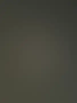 Snapshot of Nataku10 chatting on 4, 12, 2025 Nataku10 online show from 4, 12, 2025