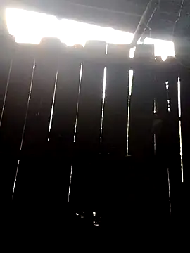 donna-bae online show from 10, 10, 2025