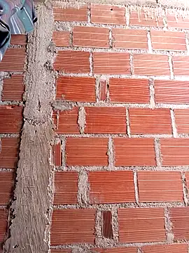 ebony hard sex online show from 17, 12, 2025