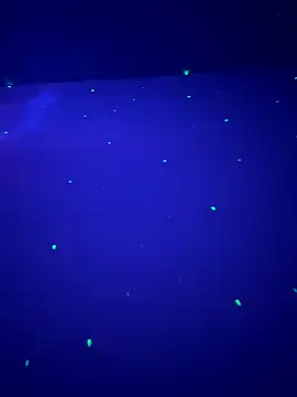 sweetttr online show from 16, 9, 2025