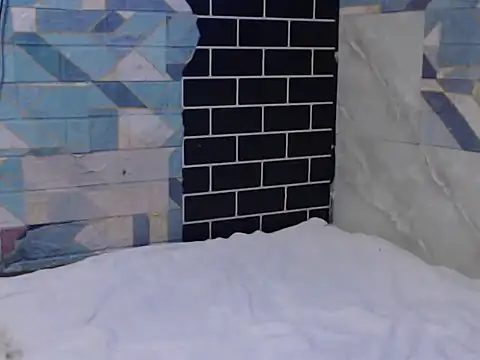 Snapshot of Newt4U chatting on 11, 11, 2025 Newt4U online show from 11, 11, 2025