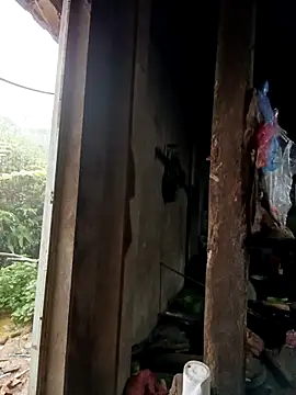 Snapshot of tulipsexy chatting on 16, 10, 2025 tulipsexy online show from 16, 10, 2025