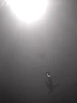 Snapshot of Hott_cutgirl chatting on 16, 10, 2025 Hott cutgirl online show from 16, 10, 2025